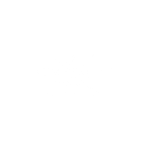 Tubestation logo